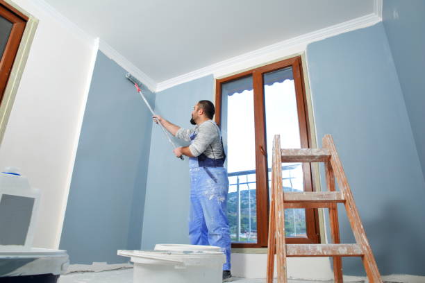Best Biohazard Mold Removal  in Spencer, IA