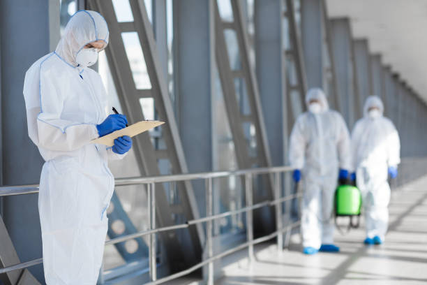 Best Environmental Consulting for Mold Prevention  in Spencer, IA