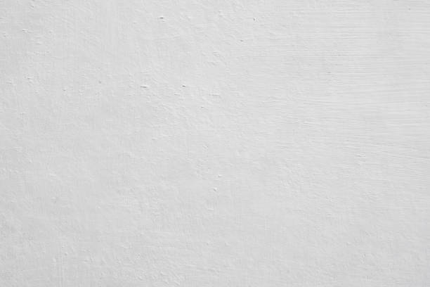Trusted Spencer, IA Mold Removal Experts