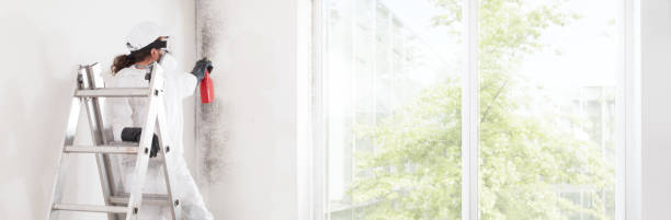 Best Real Estate Mold Inspection  in Spencer, IA
