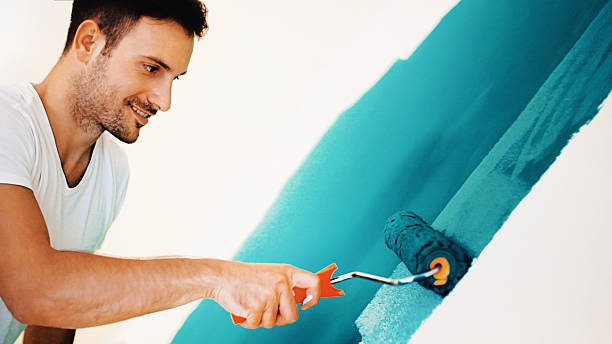 Best Basement Mold Removal  in Spencer, IA