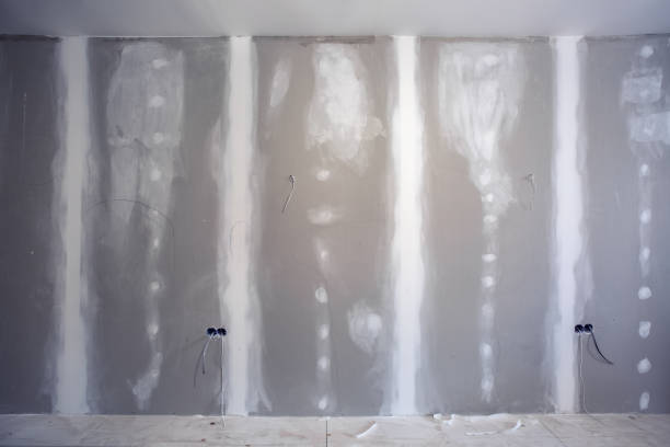 Best Mold-Related Health Consultation  in Spencer, IA